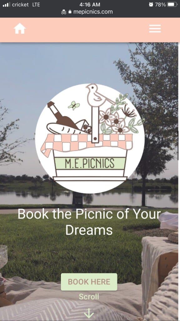 M.E. Picnics customer website on mobile — Book the Picnic of Your Dreams
